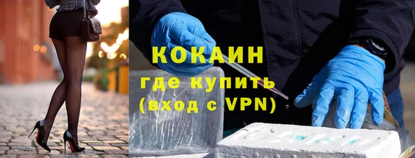 крисы Алексин
