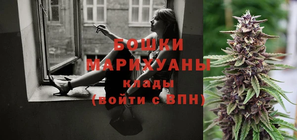 дурь Алзамай